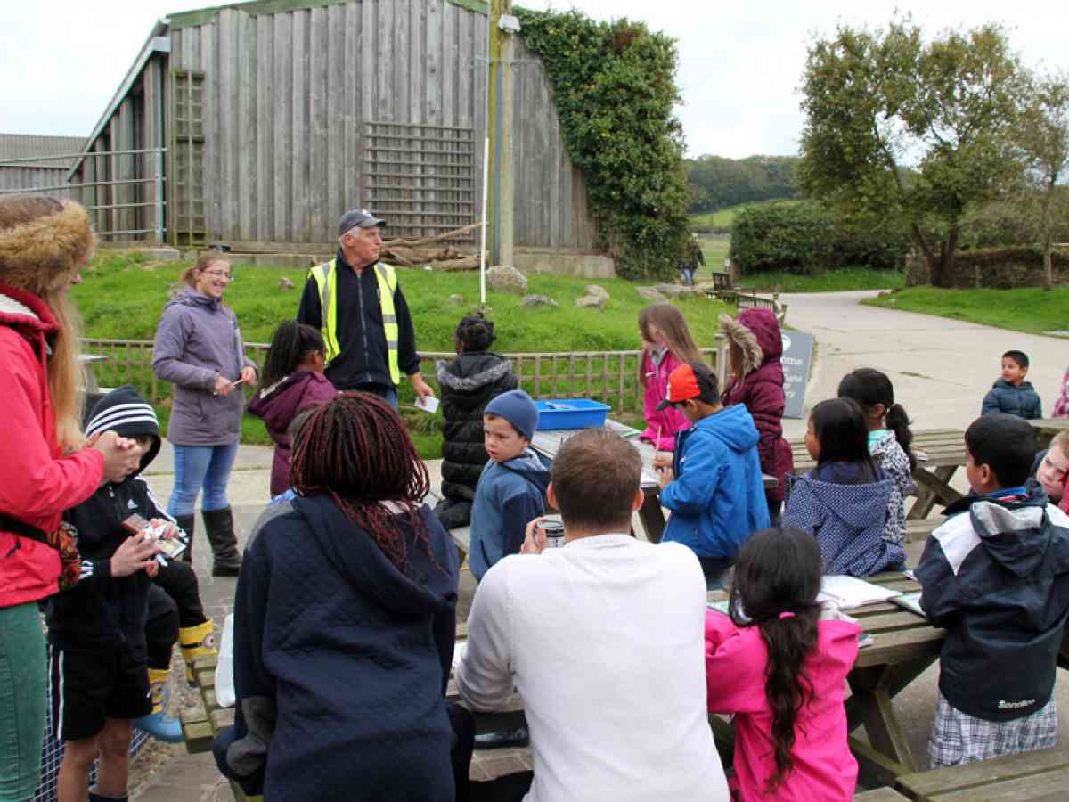 Isle of Wight Donkey Sanctuary picture gallery - Treasure hunt